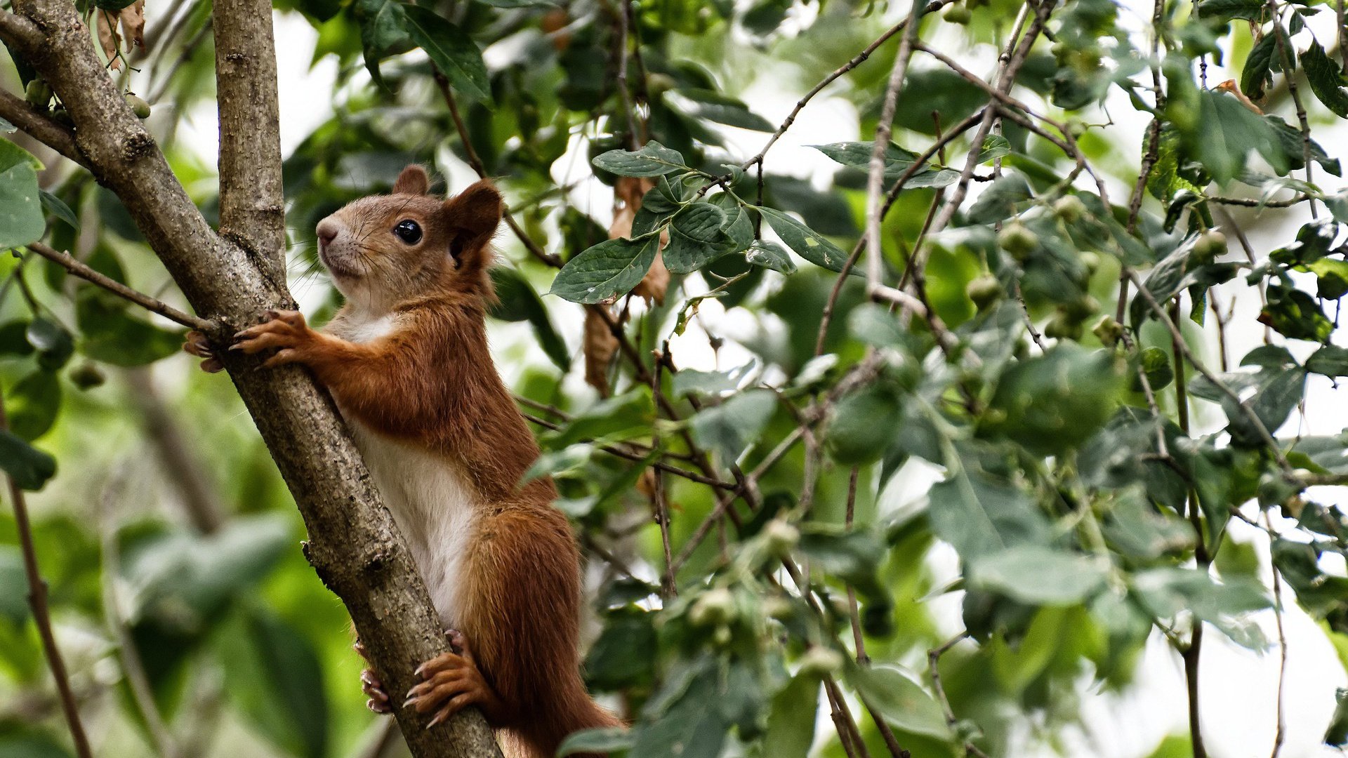 “篮球+健康”全民健身活动广受欢迎,助推体育产业升级,全民健身篮球场