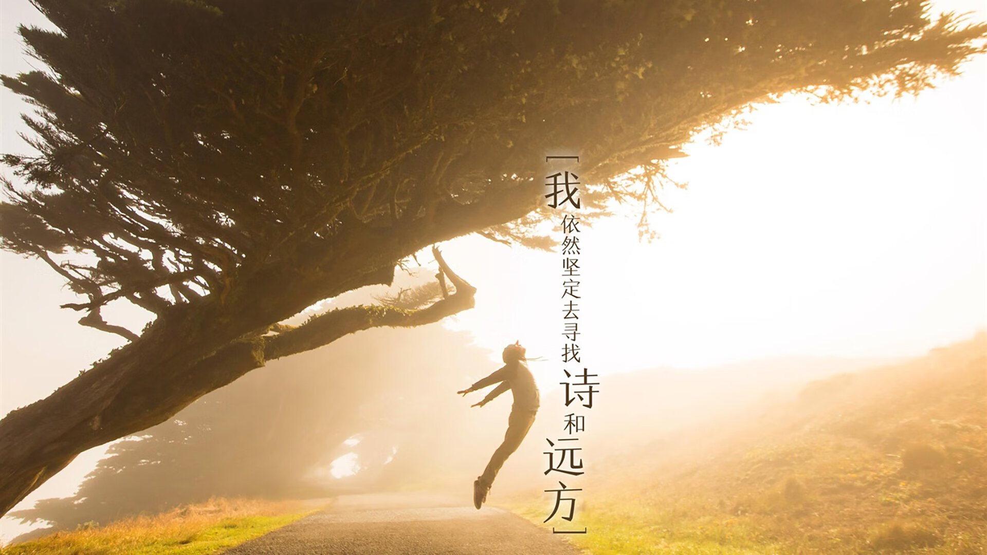 数字经济赋能电竞行业，NFT等新兴市场持续火热，数字电竞与智能经济