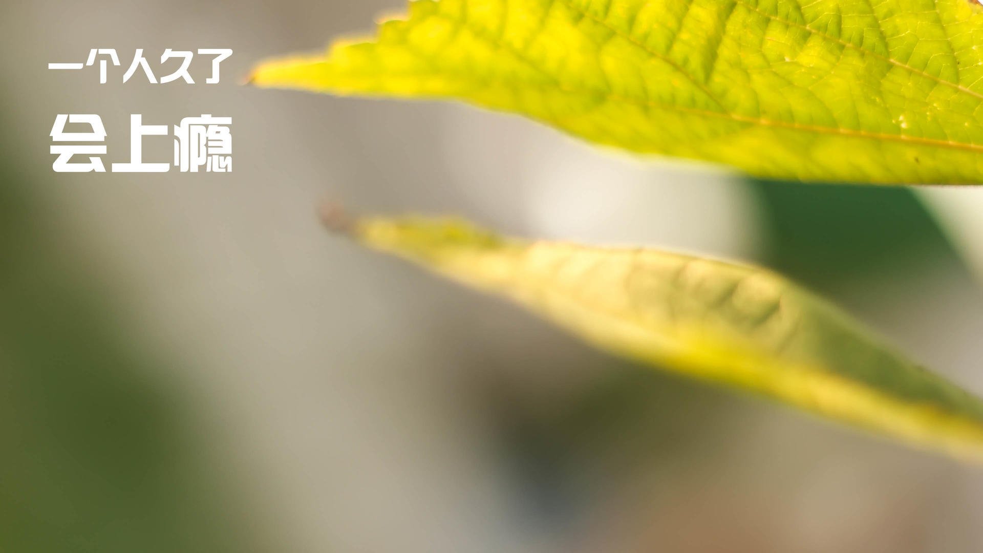 中超升班马表现抢眼，黑马球队崛起，2020中甲升班马的球队