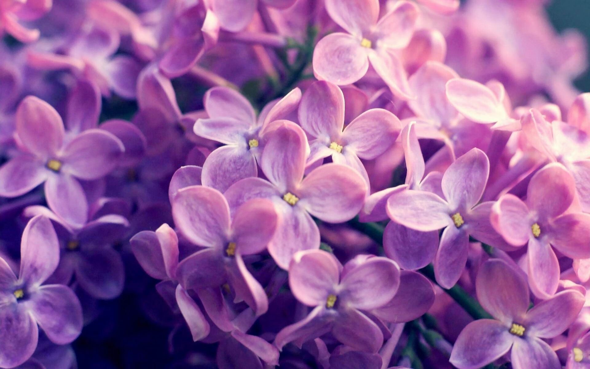 将比赛融入教育：推广台球运动的教育价值，将比赛融入教育_推广台球运动的教育价值和意义